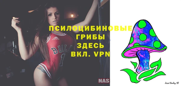 спайс Новодвинск