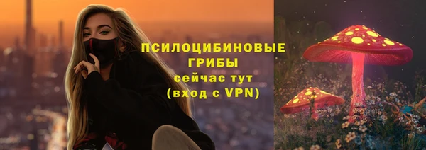дживик Нефтегорск