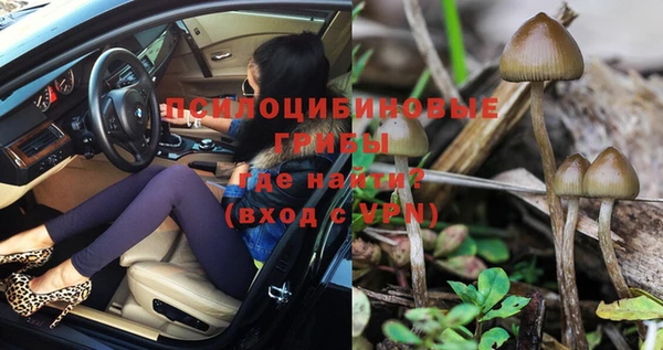 спайс Новодвинск