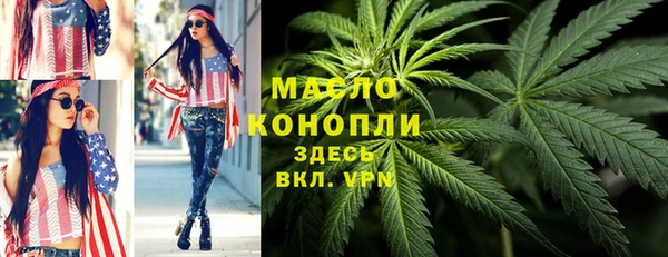 индика Галич