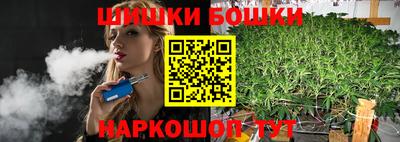 индика Заводоуковск