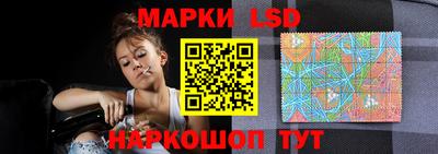 индика Заводоуковск