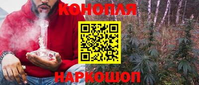 индика Заводоуковск