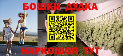 индика Заводоуковск