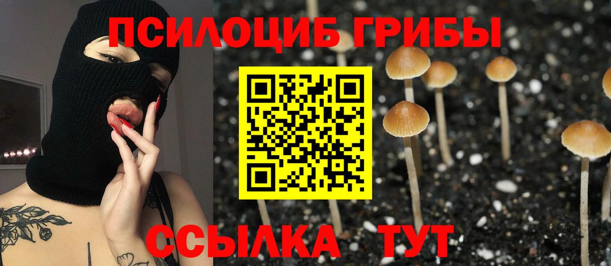 Торжок  Галлюциногенные грибы MAGIC MUSHROOMS  Вход с VPN 